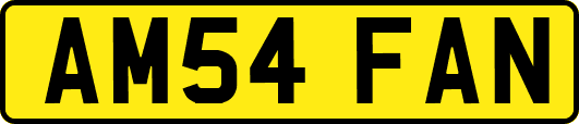 AM54FAN