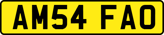 AM54FAO