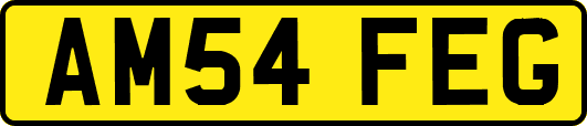 AM54FEG