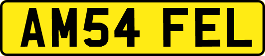 AM54FEL