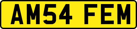 AM54FEM