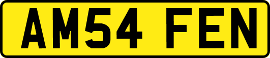 AM54FEN