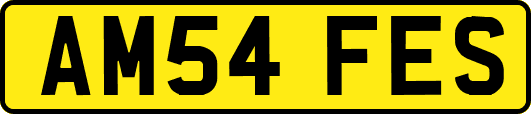 AM54FES