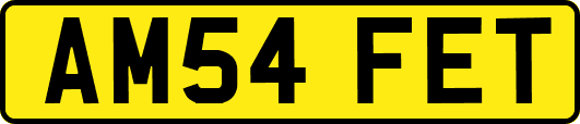 AM54FET