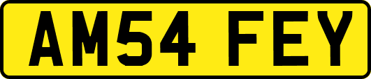 AM54FEY