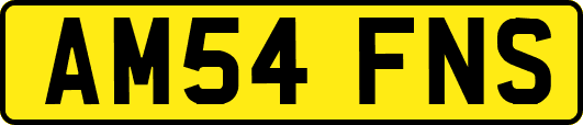 AM54FNS