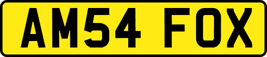 AM54FOX