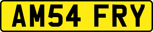 AM54FRY