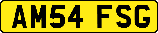 AM54FSG