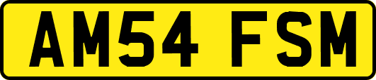 AM54FSM