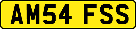 AM54FSS