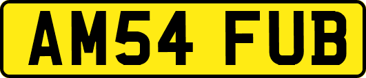 AM54FUB