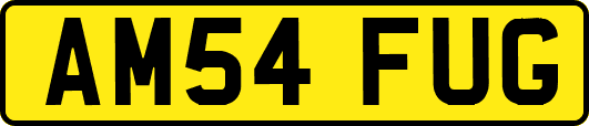 AM54FUG