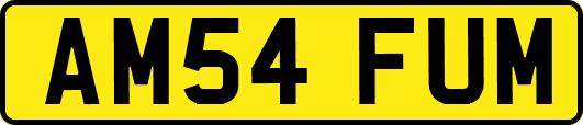 AM54FUM