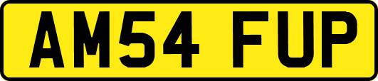 AM54FUP