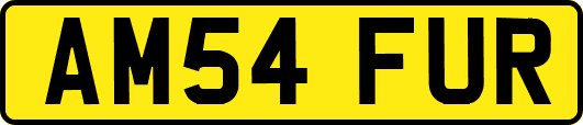AM54FUR