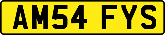 AM54FYS