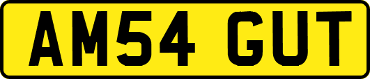 AM54GUT