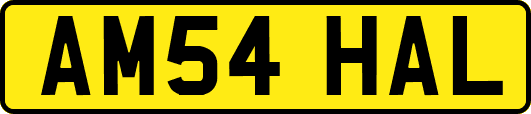 AM54HAL