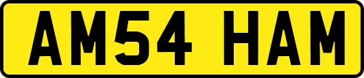 AM54HAM