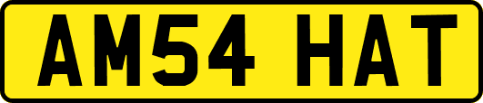AM54HAT