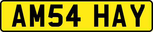 AM54HAY