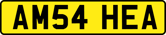 AM54HEA