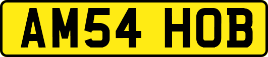AM54HOB