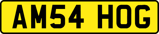 AM54HOG