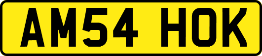 AM54HOK
