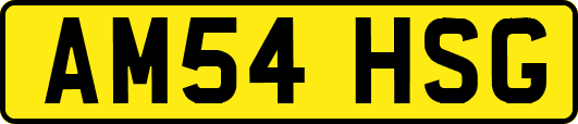 AM54HSG