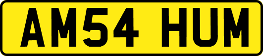 AM54HUM