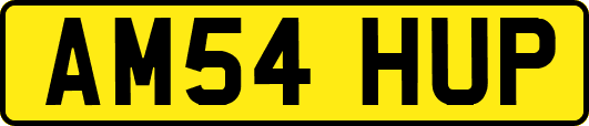 AM54HUP