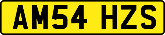 AM54HZS