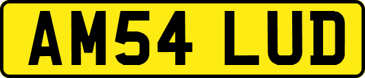 AM54LUD