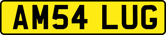 AM54LUG