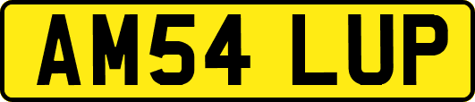 AM54LUP