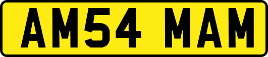 AM54MAM