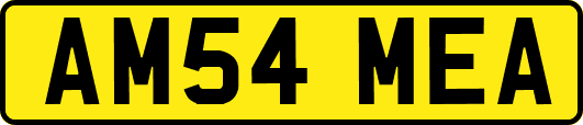 AM54MEA