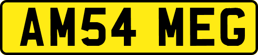 AM54MEG
