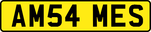 AM54MES