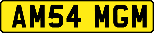 AM54MGM