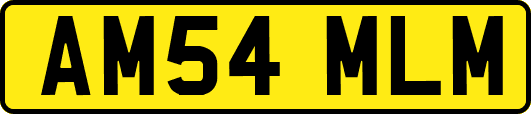 AM54MLM