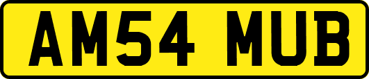 AM54MUB
