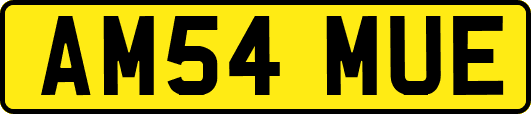 AM54MUE