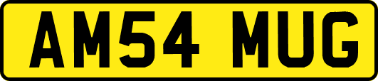 AM54MUG