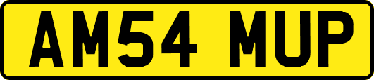 AM54MUP