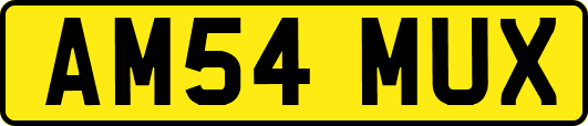 AM54MUX