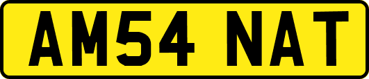 AM54NAT