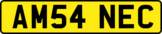 AM54NEC